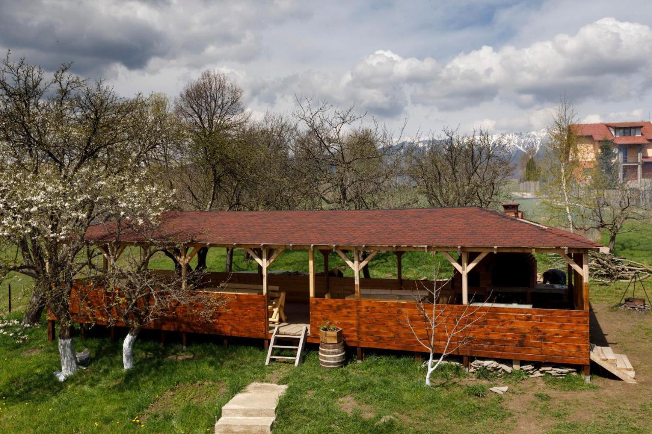 Transylvanian House Drumu Carului Εξωτερικό φωτογραφία
