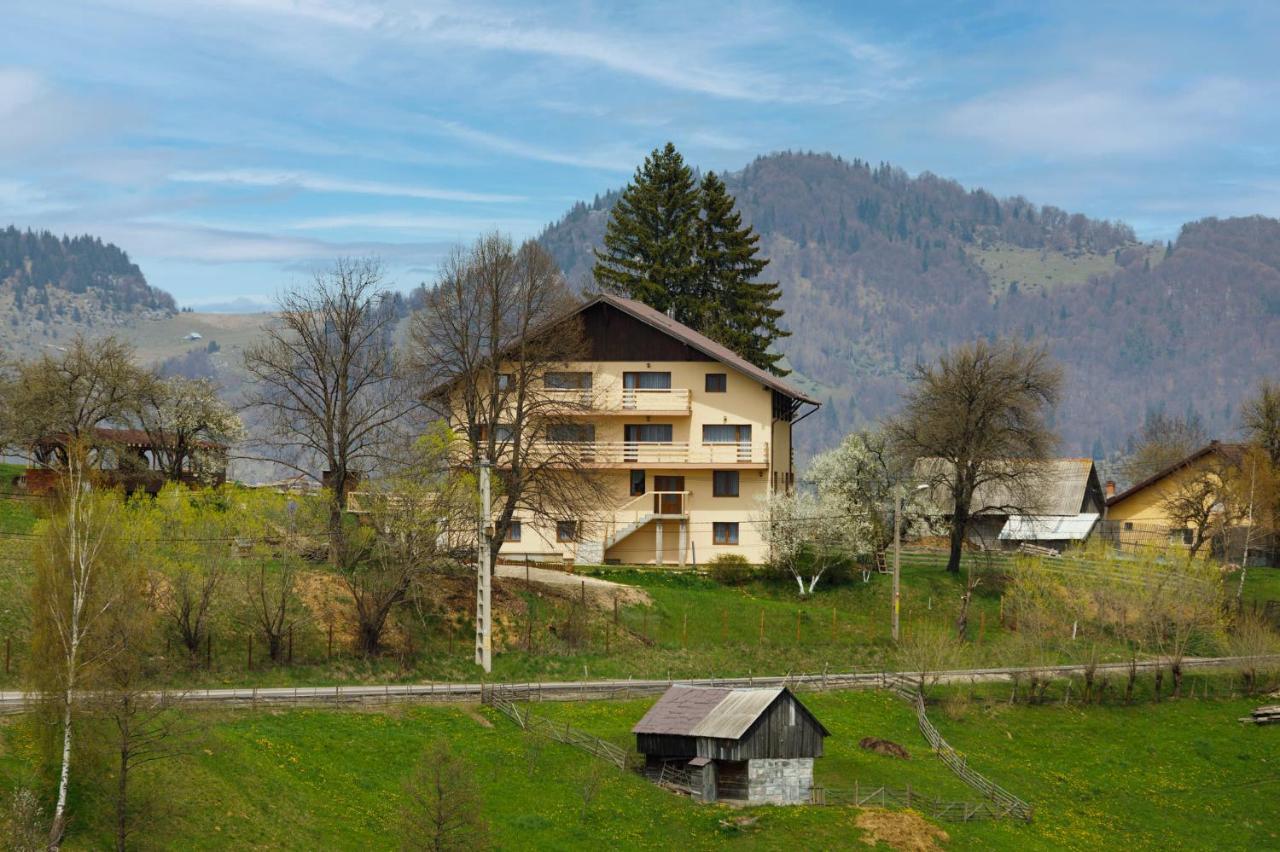 Transylvanian House Drumu Carului Εξωτερικό φωτογραφία